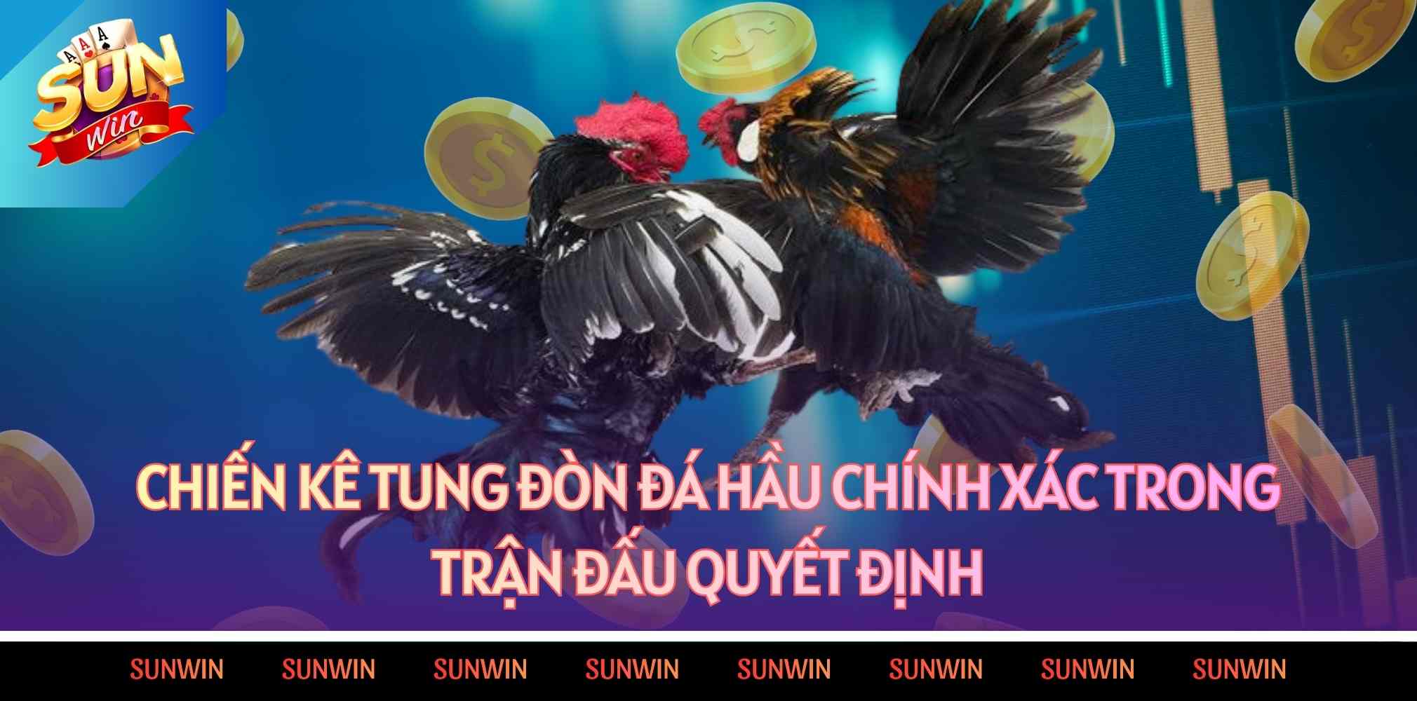 Chiến kê tung đòn đá hầu chính xác trong trận đấu quyết định